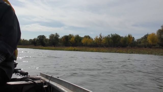 ЭКСПРЕСС РЫБАЛКА ПОСЛЕ НЕДЕЛЬНОЙ МОРЯНЫ. ОСЕННЯЯ РЫБАЛКА 2020 В АСТРАХАНИ ЗА СУДКОМ И ЩУКОЙ НА ДЖИГ смотреть онлайн