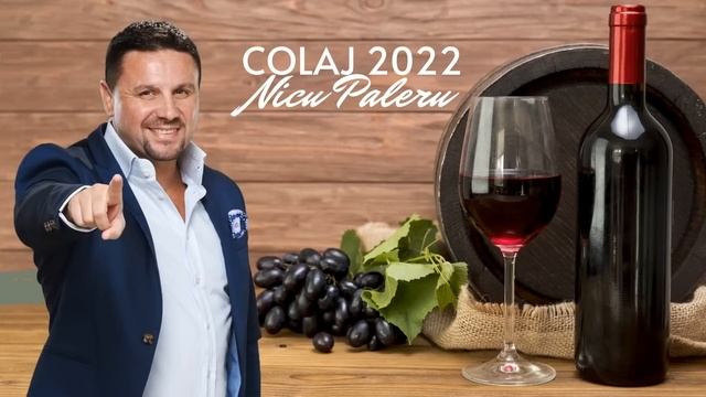 Nicu Paleru  💥 Colaj NOU 2023💥 Muzica De Petrecere Si Voie Buna 💥