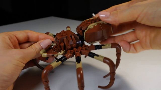 ЛЕГО Арагог в Запретном лесу (76434) Обзор LEGO Гарри Поттер 2024 смотреть онлайн