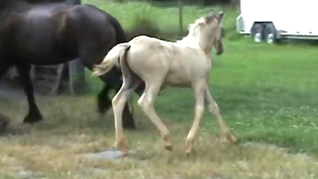 Princess Aurora July 2011 смотреть онлайн