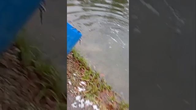 запуск смотреть онлайн