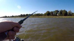 Рыбалка с лодки в Астраханской области 2018. Ловля хищника на джиг и донки