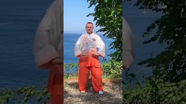 18 причина заняться Оздоровительным Цигун #shorts #зож смотреть онлайн