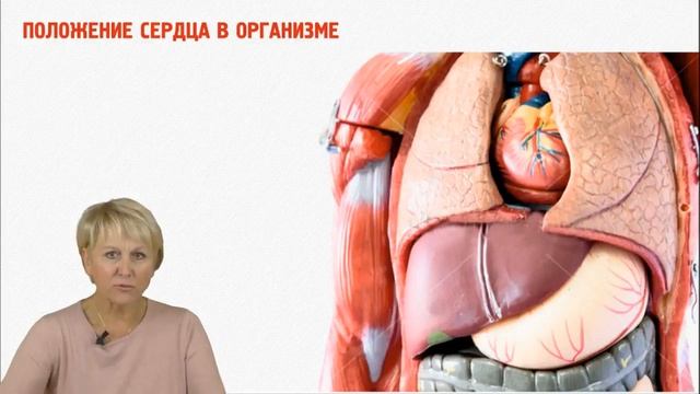 Ольга Алексеевна Бутакова "Всё о сердце и сосудах" смотреть онлайн