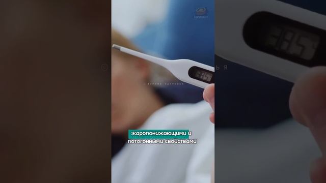 Снижаем температуру без таблеток. Народные методы смотреть онлайн