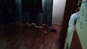 Вызываем пьяного ёжика.