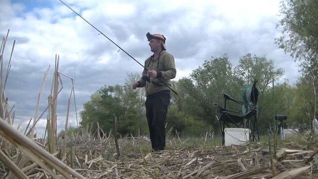 Осетры и стерлядки в неводе Встретил редкую птицу и поймал редкую рыбу Рыбалка на воблу в Астрахани смотреть онлайн