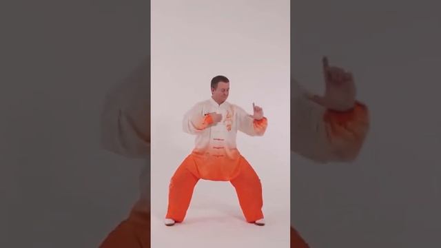 64 причина заняться Оздоровительным Цигун #цигун #цигунонлайн смотреть онлайн