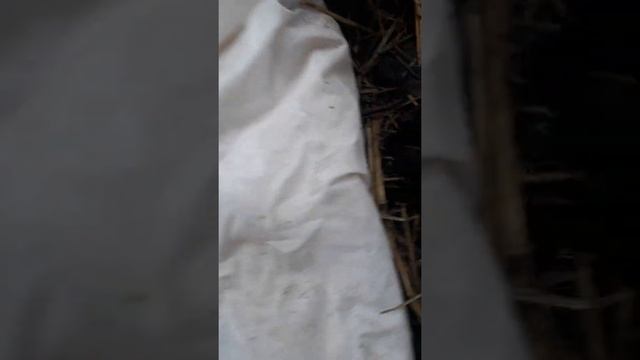 Chuvalchang biznesi!!! смотреть онлайн