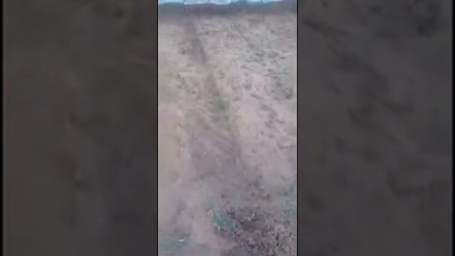 Парникимизнинг хозирги куриниши смотреть онлайн