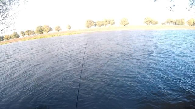 ЧТО ЗА НОВАЯ СНАСТЬ НА САЗАНА Такая рыбалка мне по душе Осенняя рыбалка в Астрахани 2021 Эх копченка смотреть онлайн