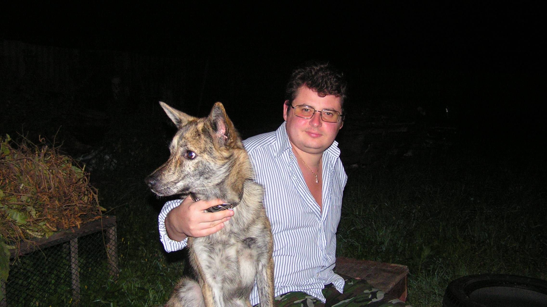 Про орла! смотреть онлайн