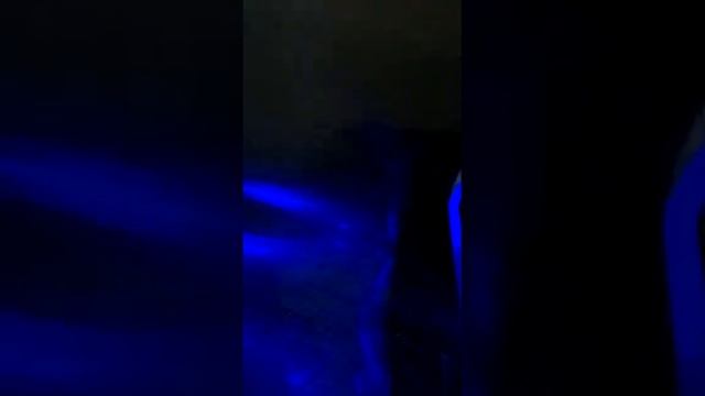 Grand Vitara LED yellow white смотреть онлайн