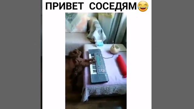 Привет соседям