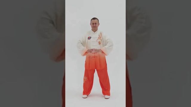 20 причина заняться Оздоровительным Цигун #shorts #зож смотреть онлайн