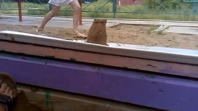 Стабильно но стильно смотреть онлайн