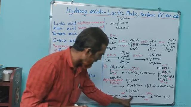Hydroxy acids - Lactic, Malic, Tartaric and Citric acid смотреть онлайн