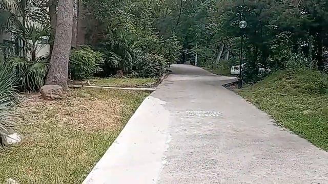 Приглашение на III Черноморский фестиваль Оздоровительного Цигун смотреть онлайн