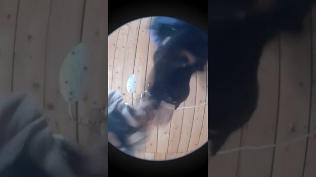 гелпьмщмщ смотреть онлайн