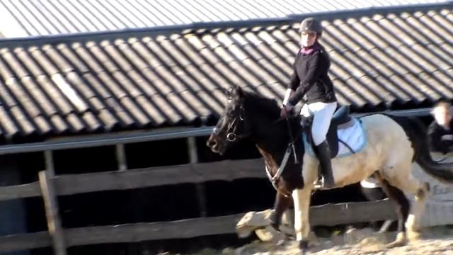 Cloé Potier et Nala - Parcours 70-80 cm (pt3) - 16 mars 2014 смотреть онлайн