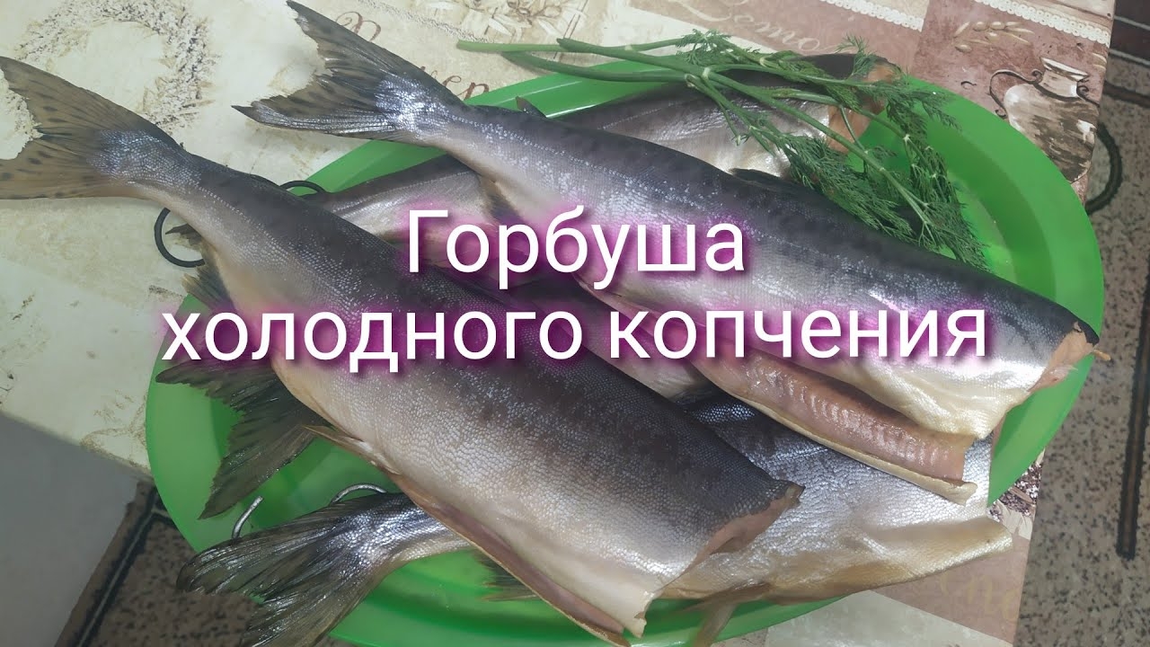 Вятские коптильни, копчение!