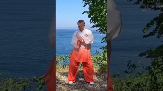 16 причина заняться Оздоровительным Цигун #shorts #цигун смотреть онлайн
