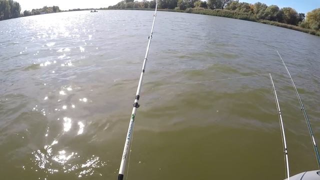 Рыбалка в Астрахани на фидер в октябре Ловля на червя карася и густеры смотреть онлайн