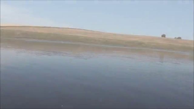 I Think Kelvin Likes My Hovercraft