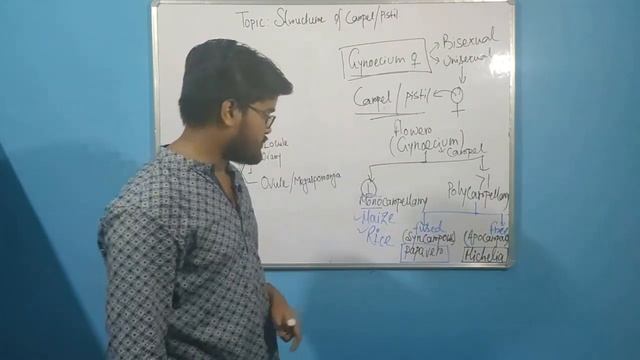 STRUCTURE OF CARPEL , CLASS XII BY RAHUL SIR # BIOME смотреть онлайн