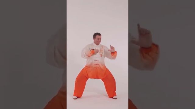 2 причина заняться Оздоровительным Цигун. Снижение уровня стресса. #short #qigong смотреть онлайн