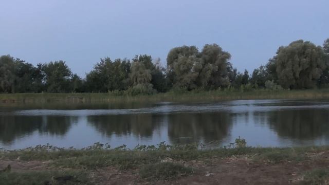 Одиночный поход на рыбалку в Астрахани Ловля сазана на жмых смотреть онлайн