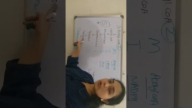 Biosynthesis of Cholesterol смотреть онлайн