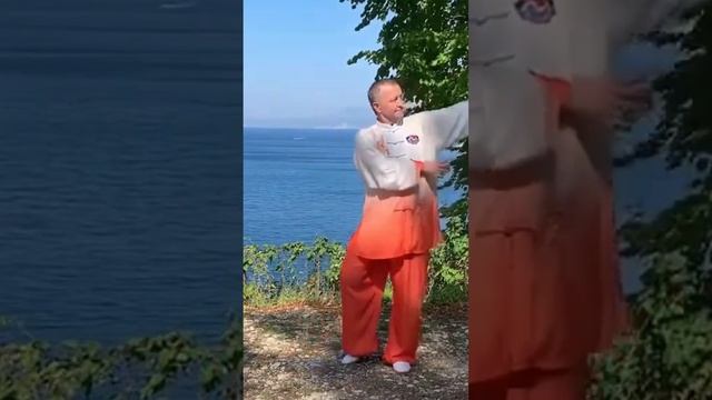 153 польза Оздоровительного Цигун #оздоровительныйсериал #цигунонлайн смотреть онлайн