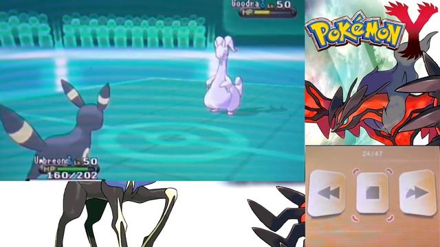 Pokemon Y online match 20 rated single battle: Pushing PP to the limits! смотреть онлайн