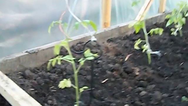 100 7022 смотреть онлайн