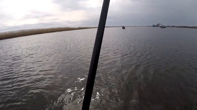 Вот такая Астраханская рыбалка весной 2021 Неожиданный трофей и странный сом с циклопией смотреть онлайн