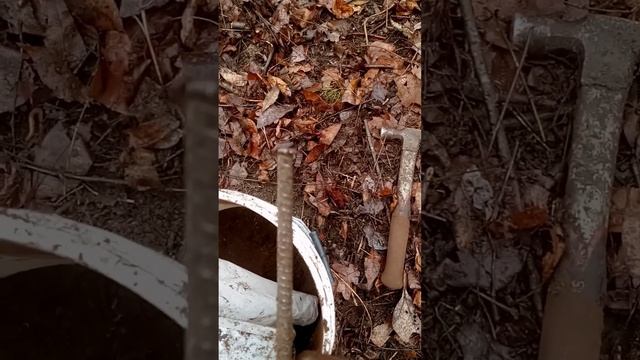 trap check 1-30-2023 20 pound 15 oz raccoon #duketraps #dogproof #oppossum #raccoon #PAtrapping смотреть онлайн