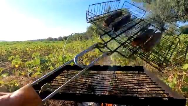 Я ТАМ САЗАНА ВЫТАЩИЛА Рыбачка разбудила с утра Рыбалка в Астрахани на сазана смотреть онлайн