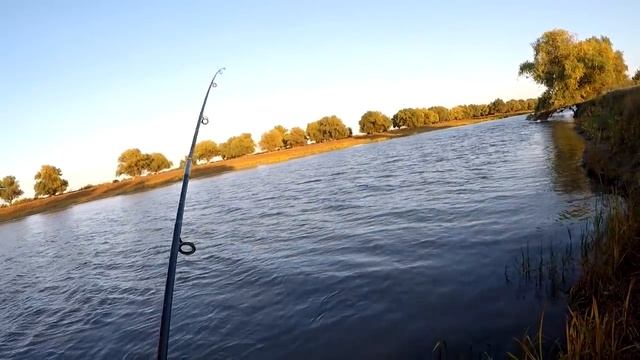 КАКОЙ ТОЛЬКО РЫБЫ ТУТ НЕТ. ОСЕННЯЯ РЫБАЛКА В АСТРАХАНИ. ЛОВЛЯ САЗАНА СУДАКА СОМА ЩУКИ. КОПЧЕНИЕ РЫБЫ смотреть онлайн