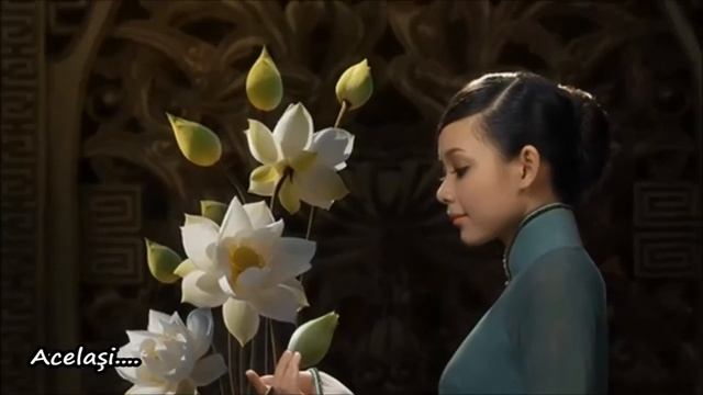 Sky Princess - Beautiful Chinese Music смотреть онлайн