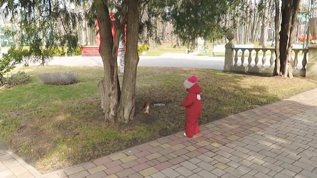Nikki and Funny Squirrel | Kids Nikki Toys смотреть онлайн