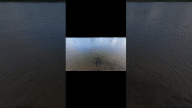 рыбалка в Астрахани #рыбалкавастрахани #рыбалка #fishing смотреть онлайн