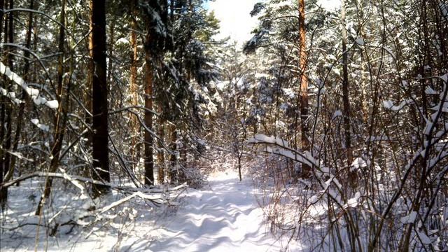 СТИХИ - Сергей Лесов - Люб лирика /дек 2023 /- авт чтение смотреть онлайн