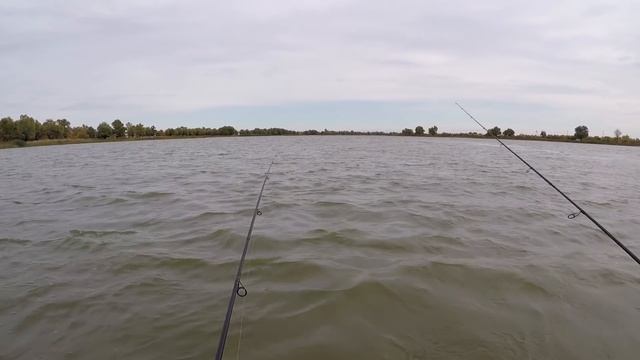 За хищником Осенняя рыбалка в Астрахани на джиг смотреть онлайн