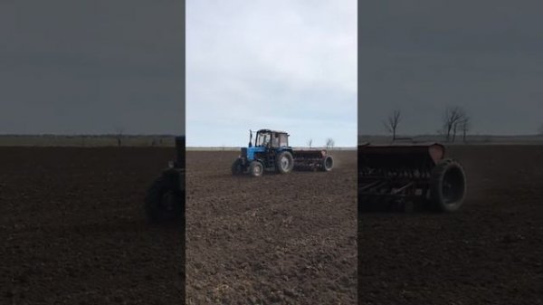 Посев ярого ячменя,сорт «Прерия»