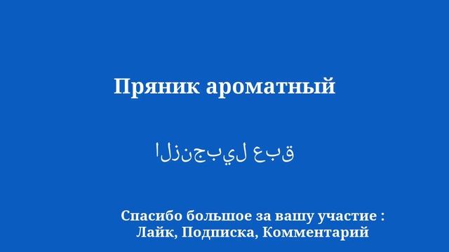 Bakery Delights: освойте арабский словарный запас смотреть онлайн