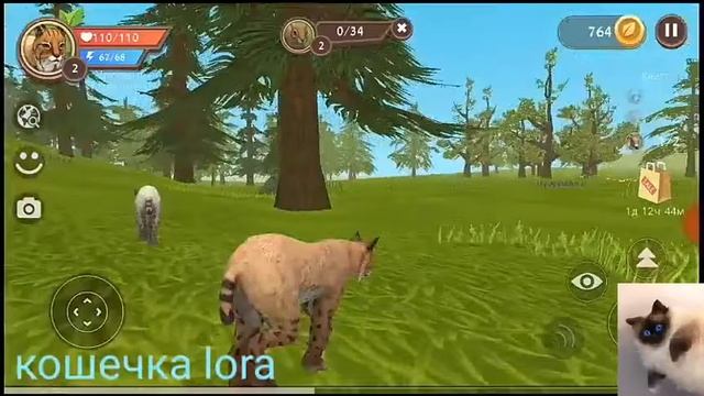Прокачка.Покупка лисы!?В Wild Craft! смотреть онлайн