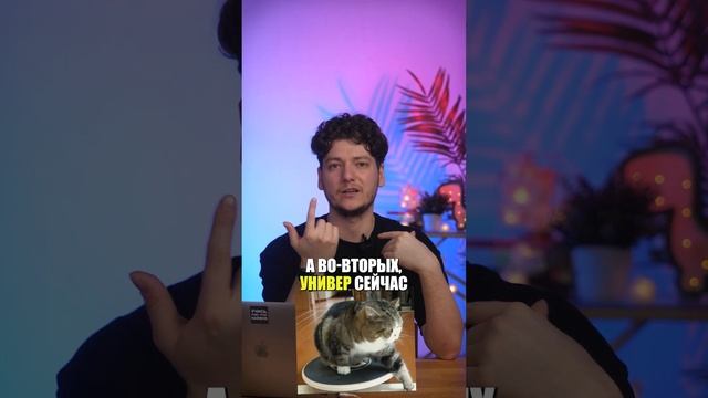 Нужно ли ВЫСШЕЕ образование, чтобы стать АЙТИШНИКОМ? #ЕГЭ #ОГЭ #егэ2024 #огэ2024 смотреть онлайн