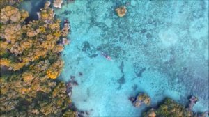 ВСЕОБЩАЯ ТЕОРИЯ ВСЕГО / Михаил Веллер /