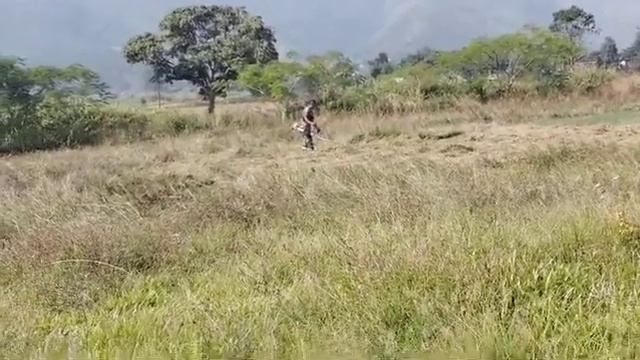 meilhei gal lai a Indian sepoy hon ukon ground hampa atan u смотреть онлайн